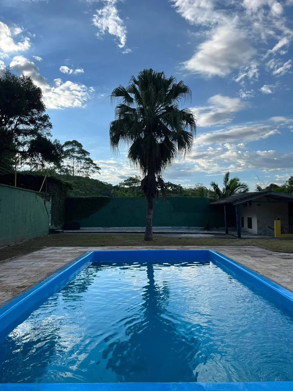 clínica de recuperação para k9